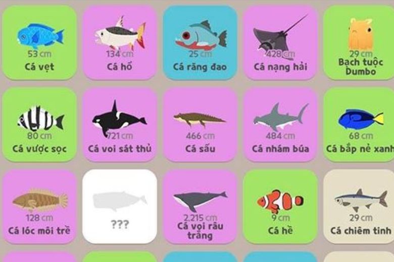 Hướng dẫn cách câu cá hiếm trong Play Together, mẹo cực hay cách câu cá hiếm trong play together