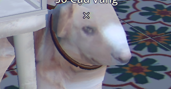 Khám Phá Hình Ảnh Đặc Sắc Từ Tiệm Phở Trong Một Khu Phố Đầy Bất Ổn