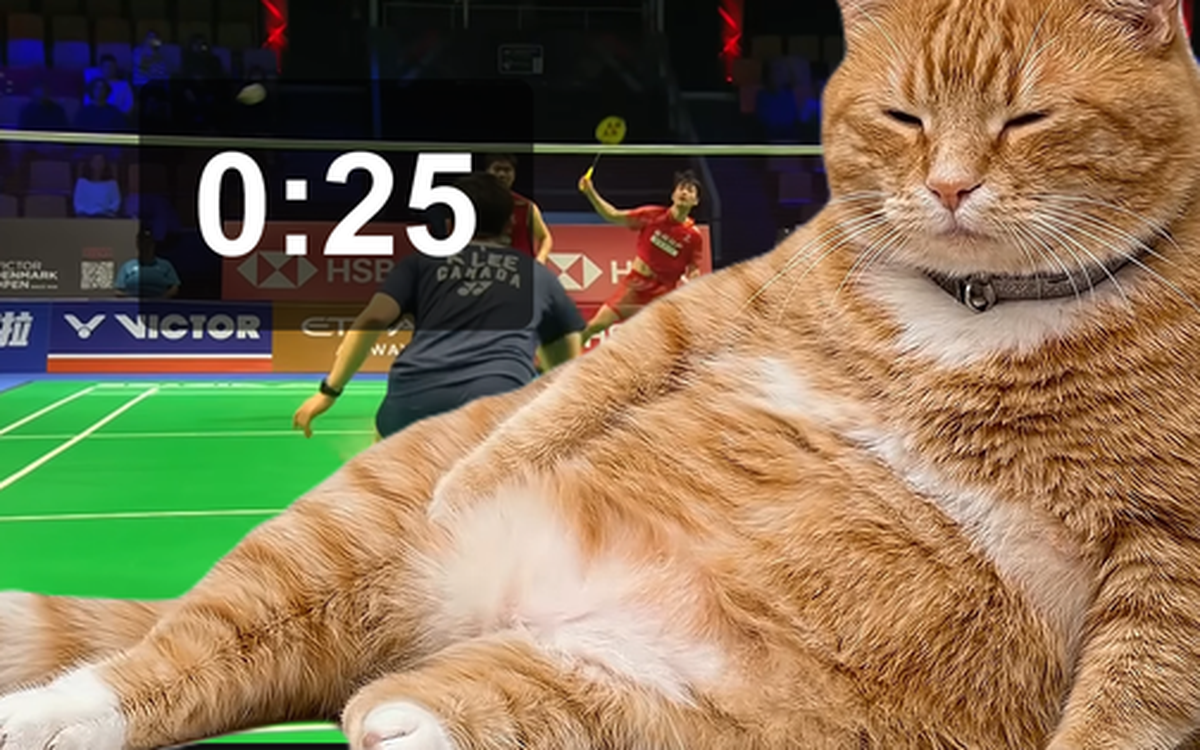 Tiện ích độc đáo: Chú mèo dễ thương giúp bạn giảm thời gian lướt mạng xã hội