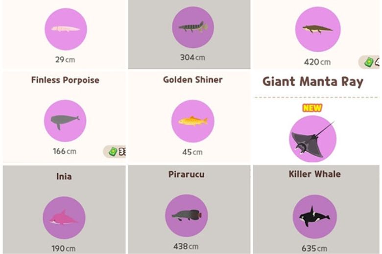 Hướng dẫn cách câu cá hiếm trong Play Together, mẹo cực hay cách câu cá hiếm trong play together