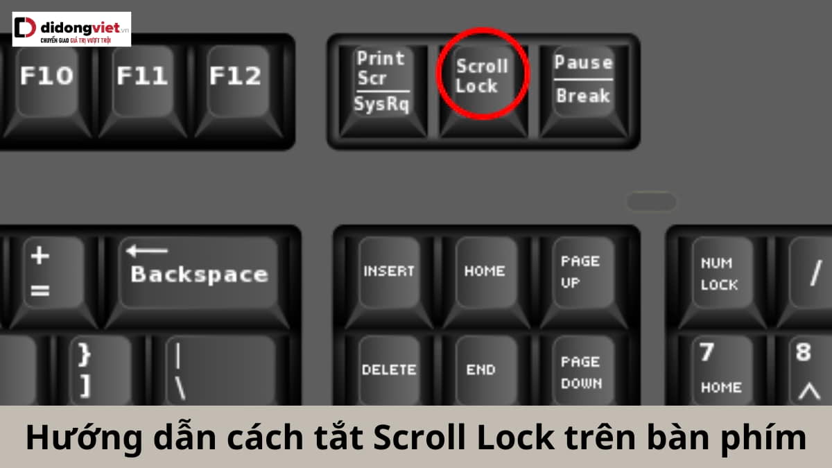 Hướng dẫn nhanh cách tắt phím Scroll Lock trên bàn phím