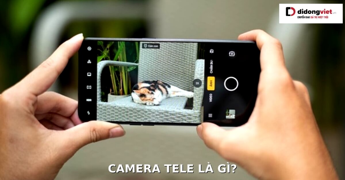 Camera Tele: Khám Phá Thế Giới Chụp Ảnh Đẹp Như Nghệ Sĩ