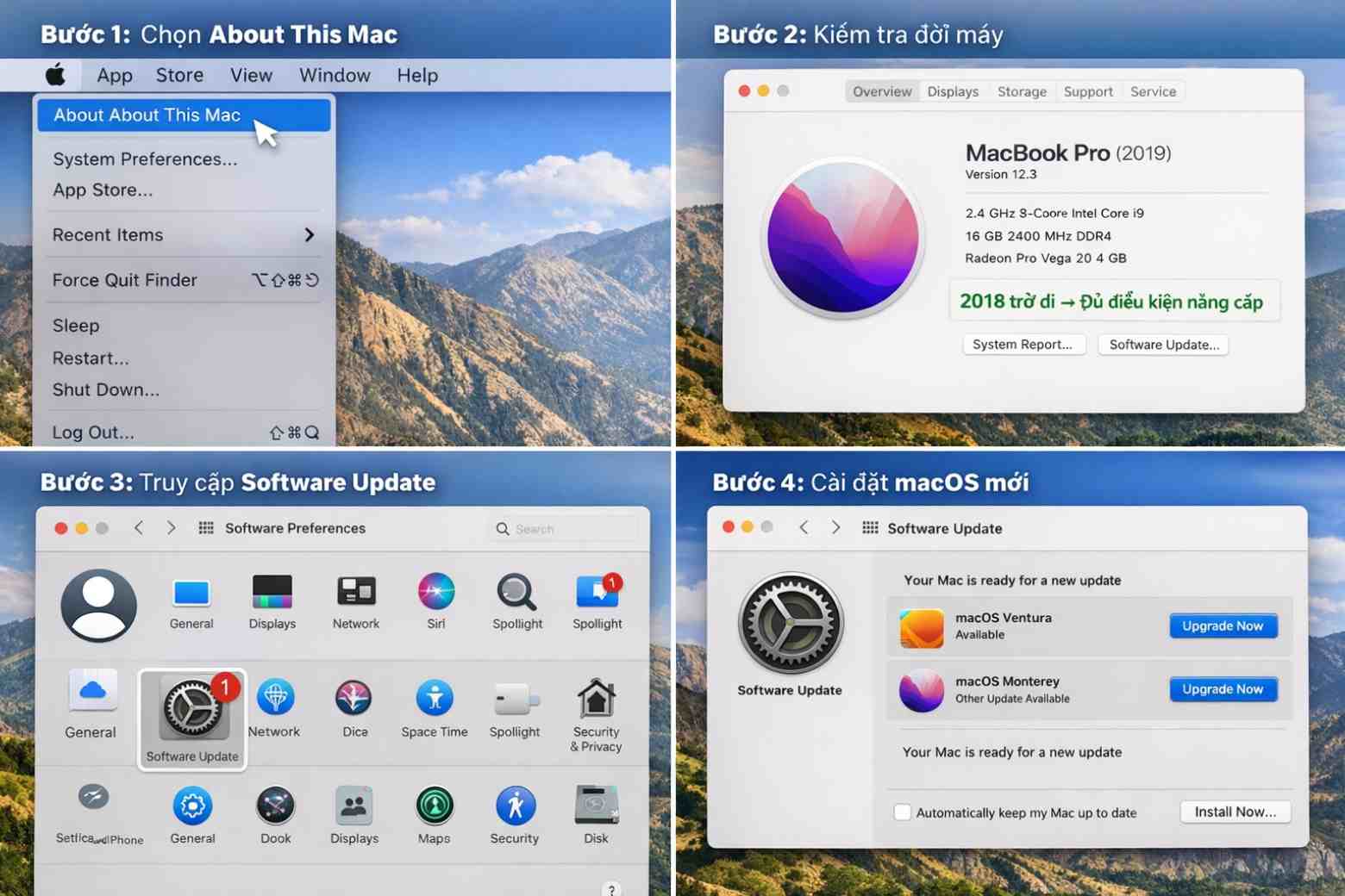 macos big sur là gì các bước nâng cấp phần mềm