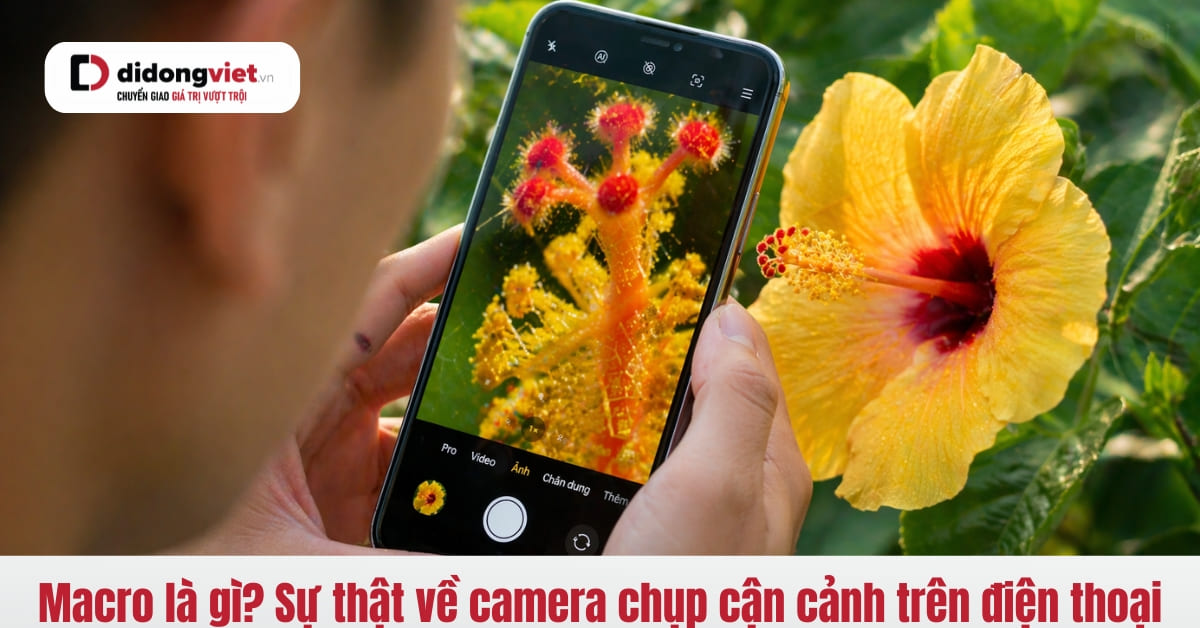 Khám Phá Thế Giới Macro: Camera 2MP và Kỹ Thuật Chụp Cận Cảnh