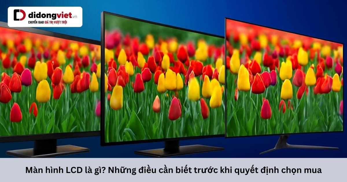 Màn hình LCD: Đặc điểm, Ưu nhược điểm và Lưu ý khi Mua sắm