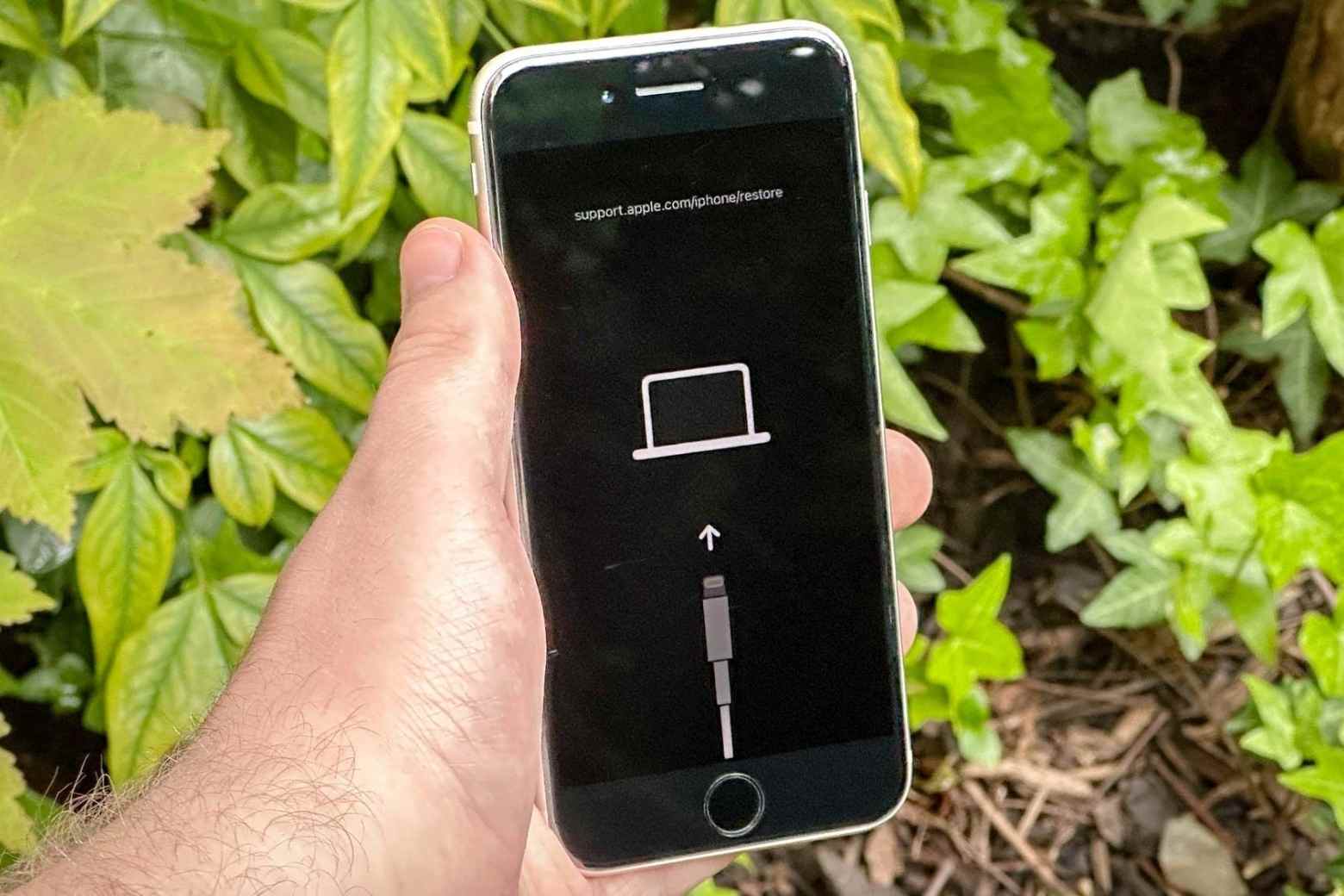 Lỗi 'Support Apple Com iPhone Restore' là gì? Hướng dẫn khắc phục hiệu quả Support Apple com iPhone restore là gì màn hình Recovery Mode