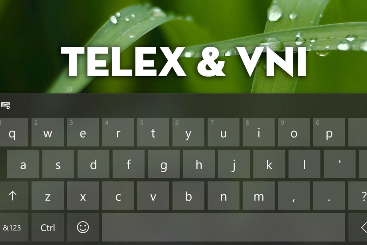 telex là gì so sánh kiểu gõ VNI